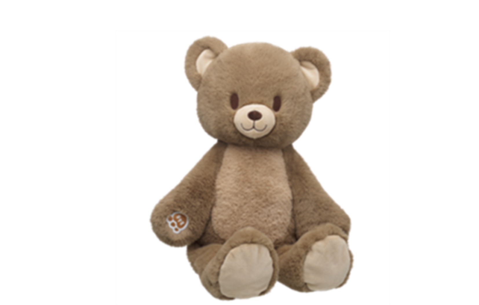 Build-A-Bear issues voluntary recall of thousands of plush bears — WISN 12 Milwaukee